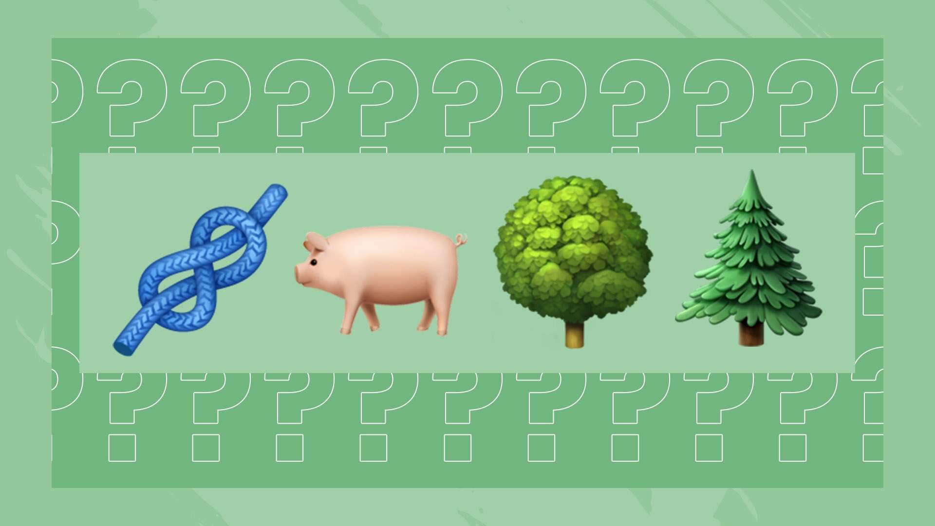 即将到来的 即将到来的